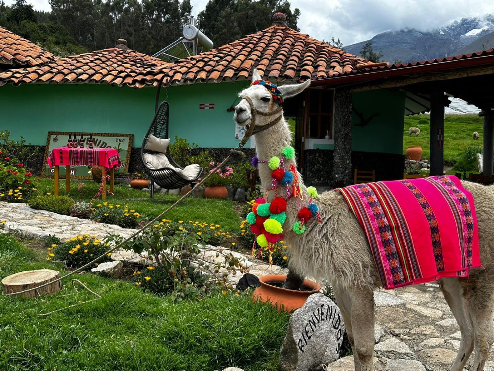 Tullpa Rumy Lodge Yungay Exterior foto
